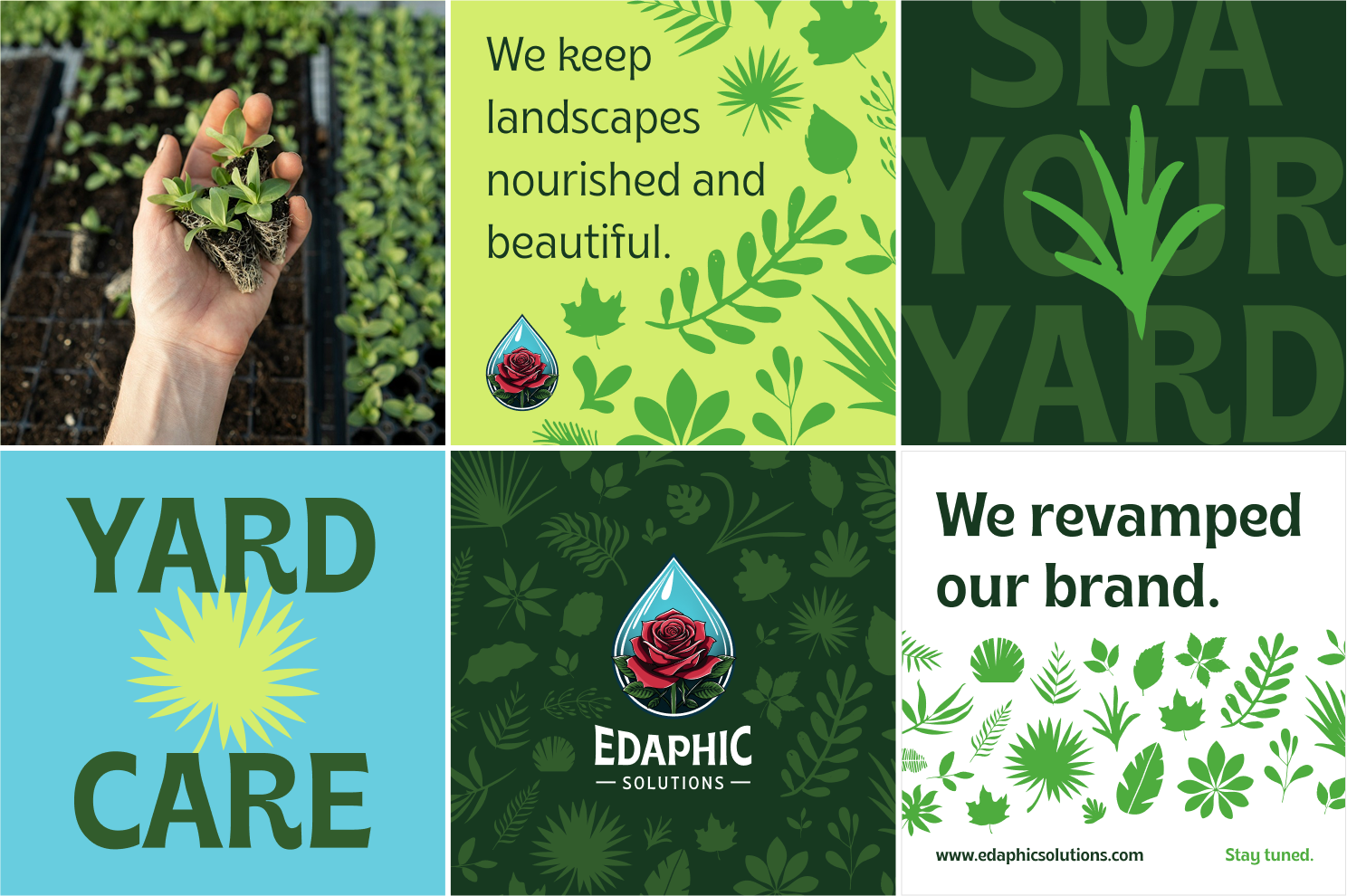 Edaphic Solutions