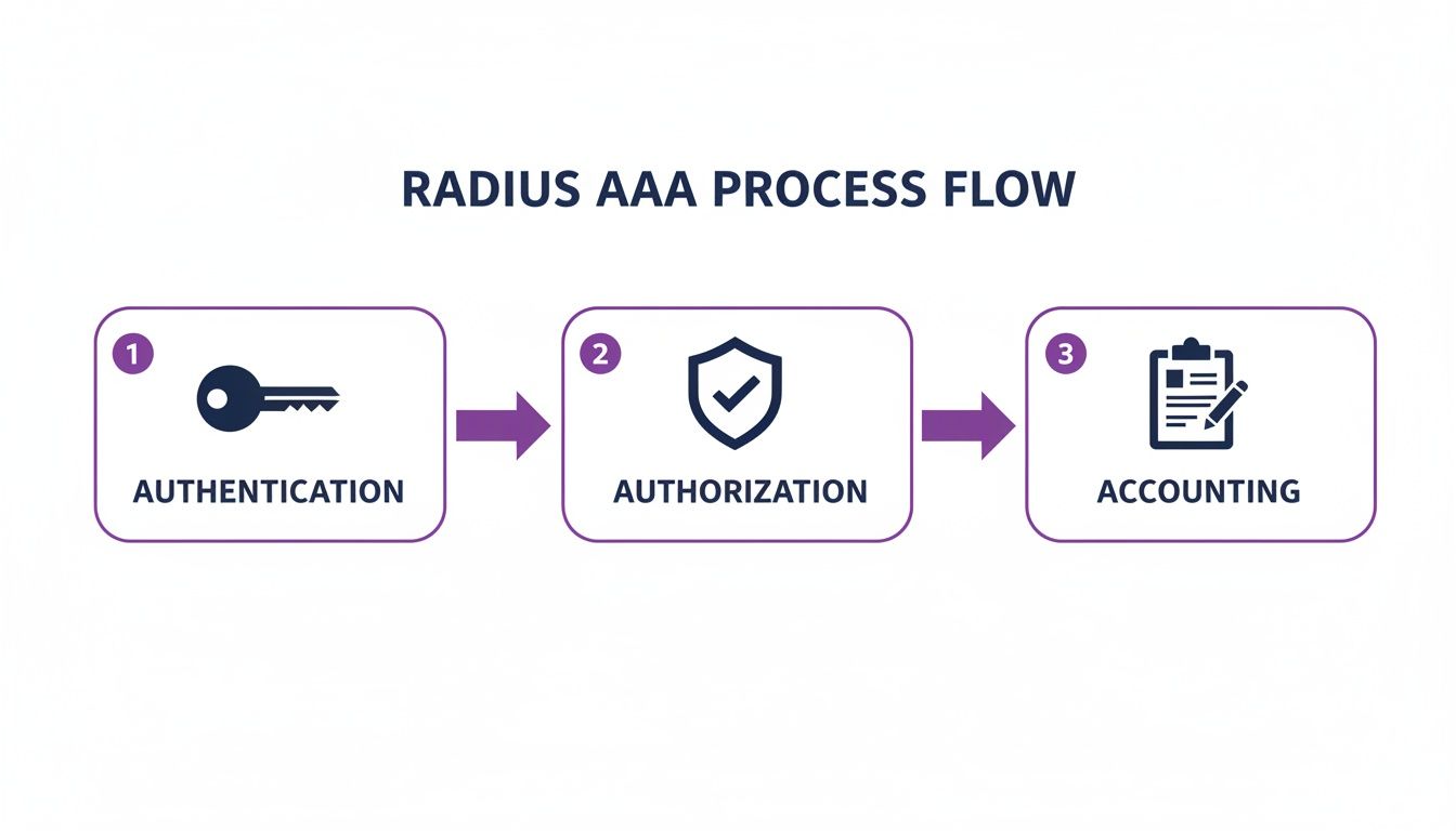 Flowchart illustrating the RADIUS AAA process with three sequential steps: Authentication, Authorization, and Accounting.