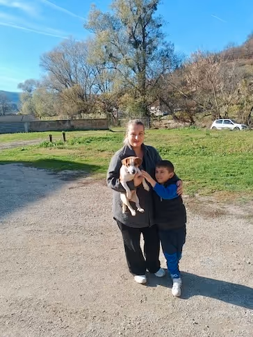 Eine Frau hält einen kleinen Welpen, während ein Junge sie von der Seite umarmt, im Freien auf einem sonnigen Weg mit Gras und Bäumen im Hintergrund.