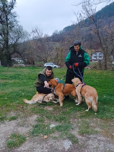 Zwei Männer sind mit drei lebhaften Hunden im Freien, umgeben von Wiesen und Bergen.