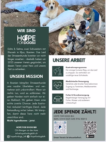 Flyer der Organisation Hope for Dogs BIH mit Fotos von Hunden und Menschen, Text über Mission und Arbeit zur Rettung von Straßenhunden in Bosnien.
