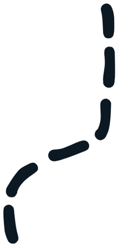 Bild einer gestrichelten Linie als Übergang zur nächsten Section.