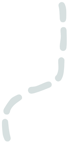 Bild einer gestrichelten Linie als Übergang zur nächsten Section.