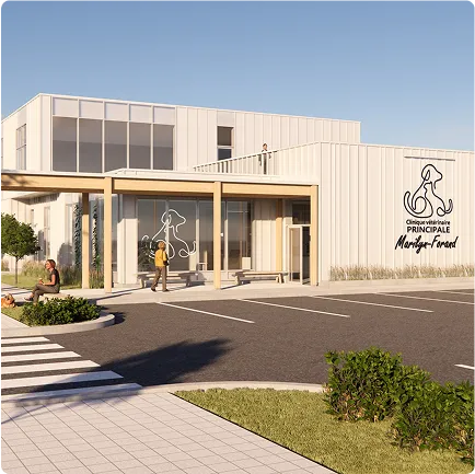 Modélisation et visualisation en 3D