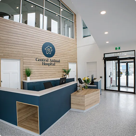 Central Animal Hospital