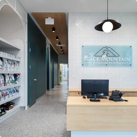 Black Mountain Veterinary Hospital