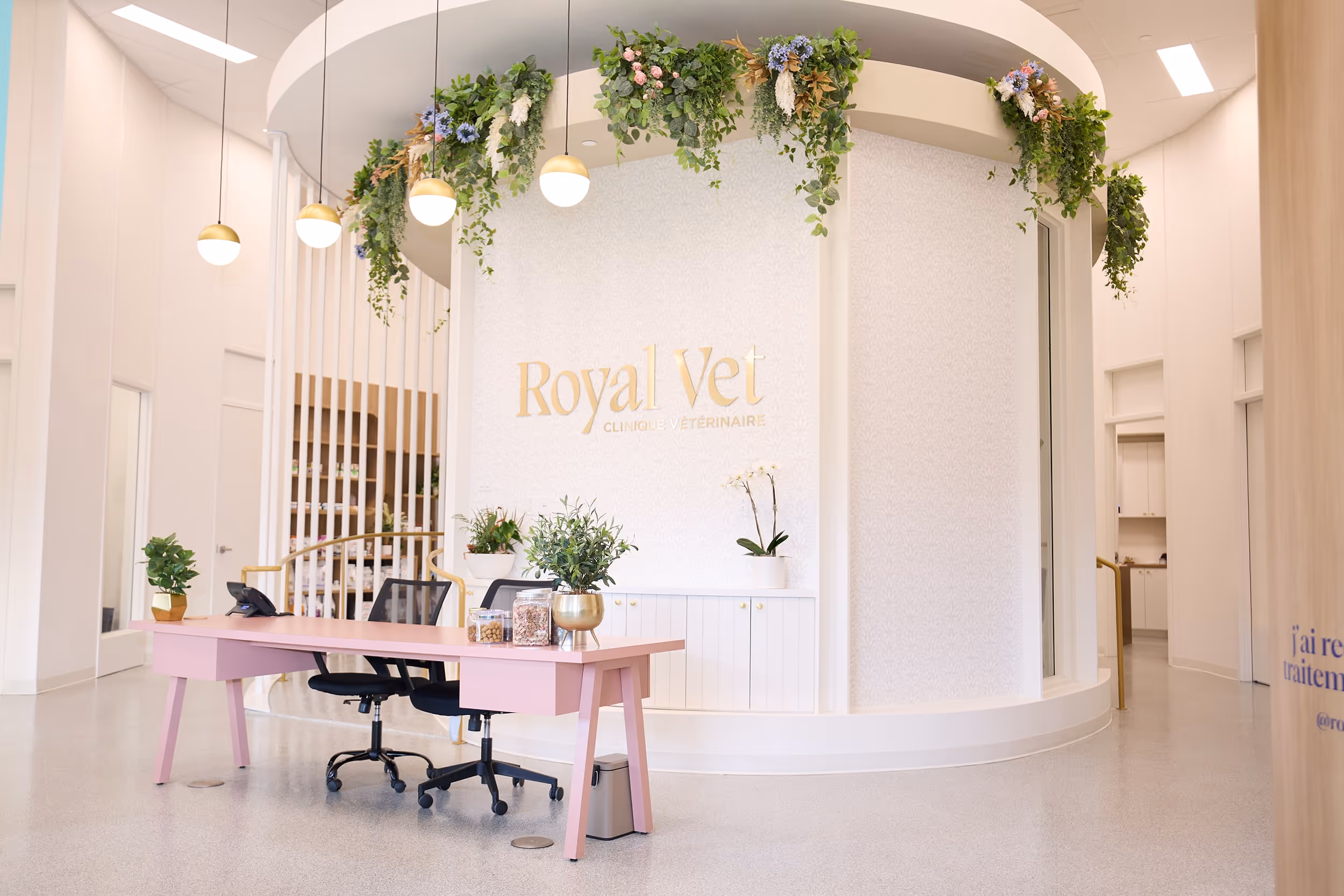 Royal Vet - Midtown