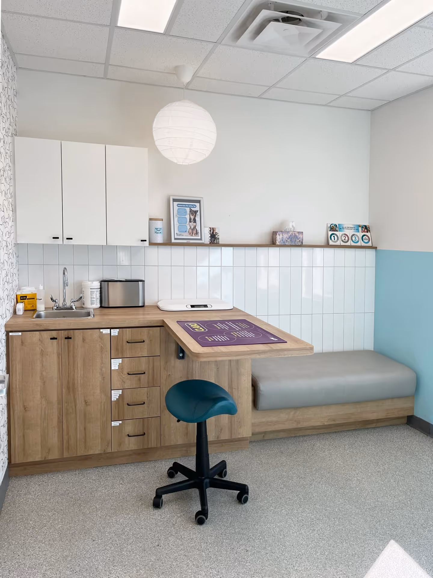 Beachy Cove Animal Hospital