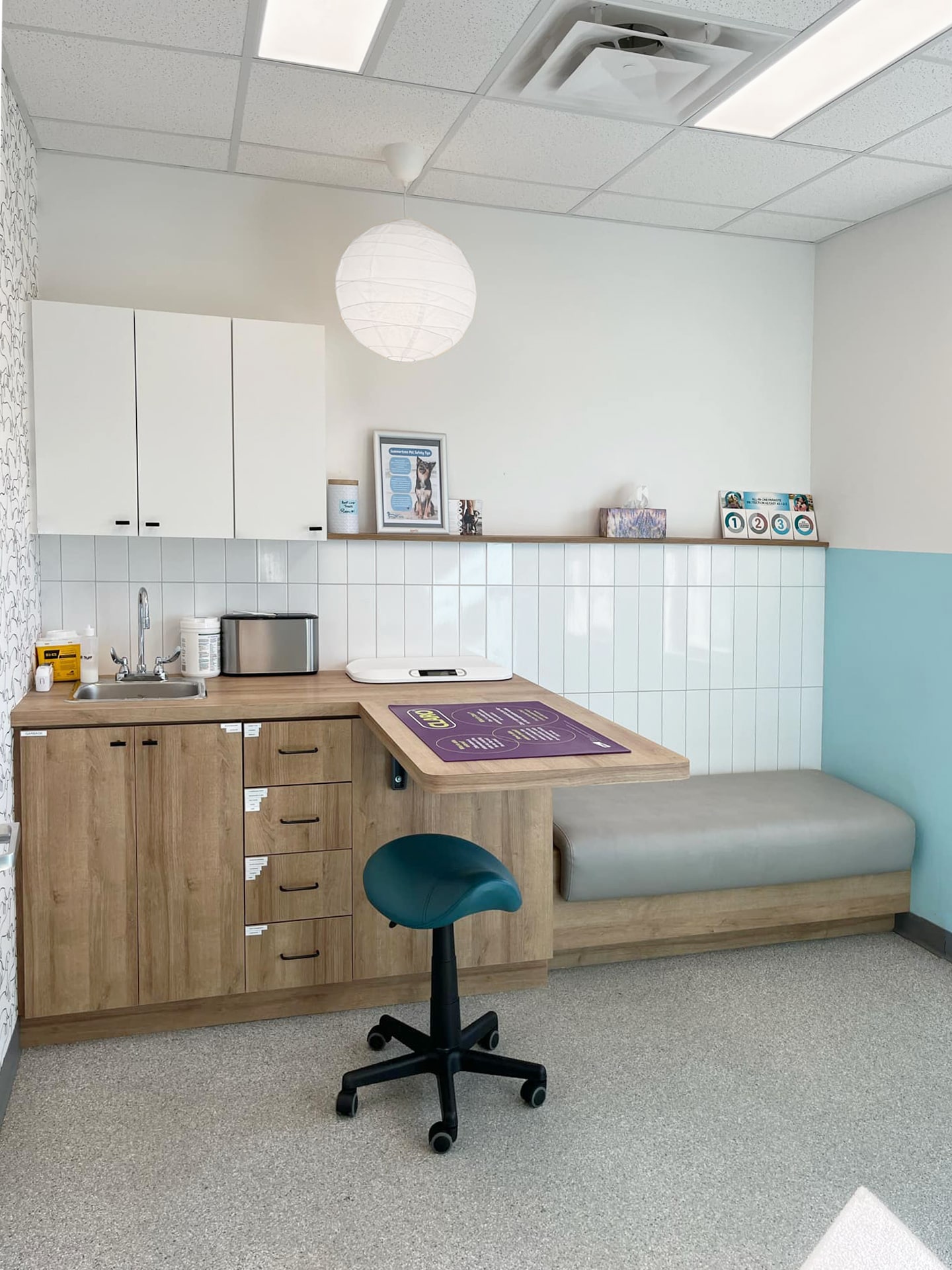 Beachy Cove Animal Hospital 