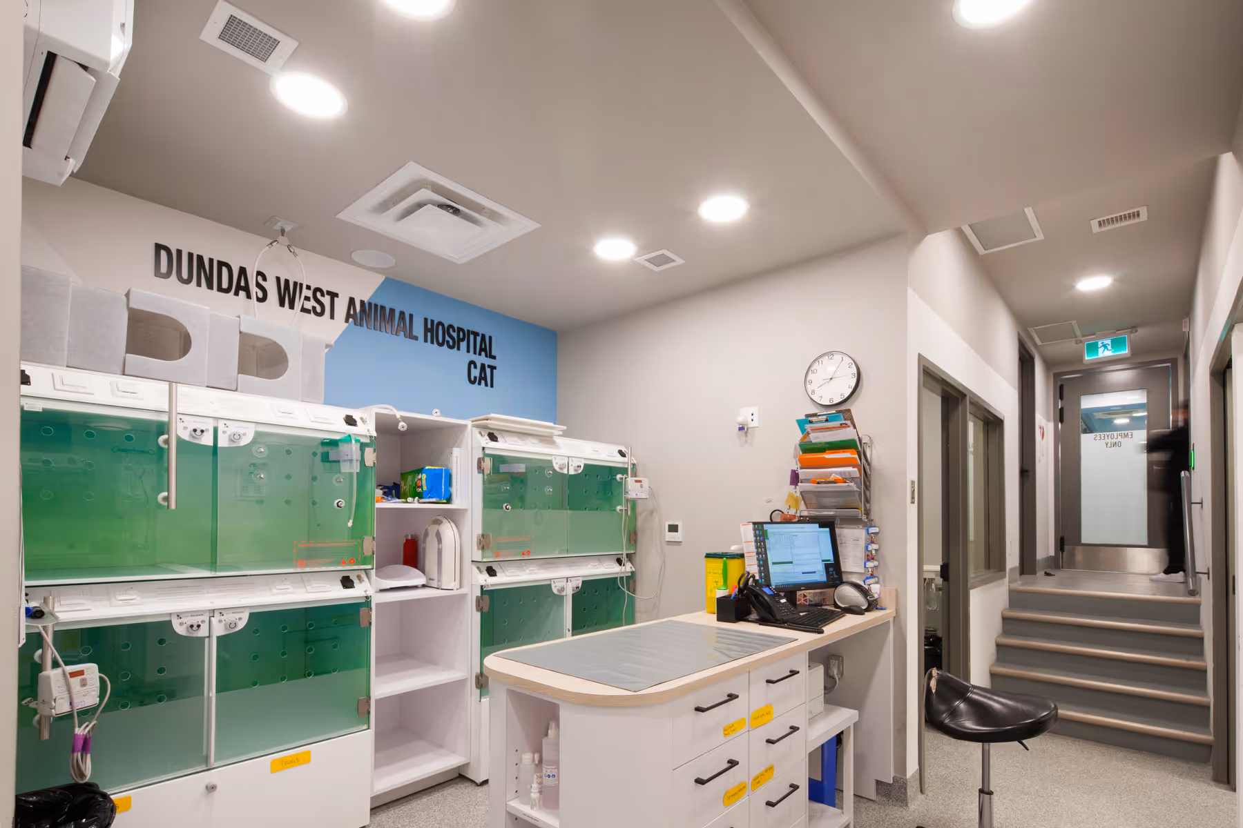 Dundas West Animal Hospital (Feline Clinic)
