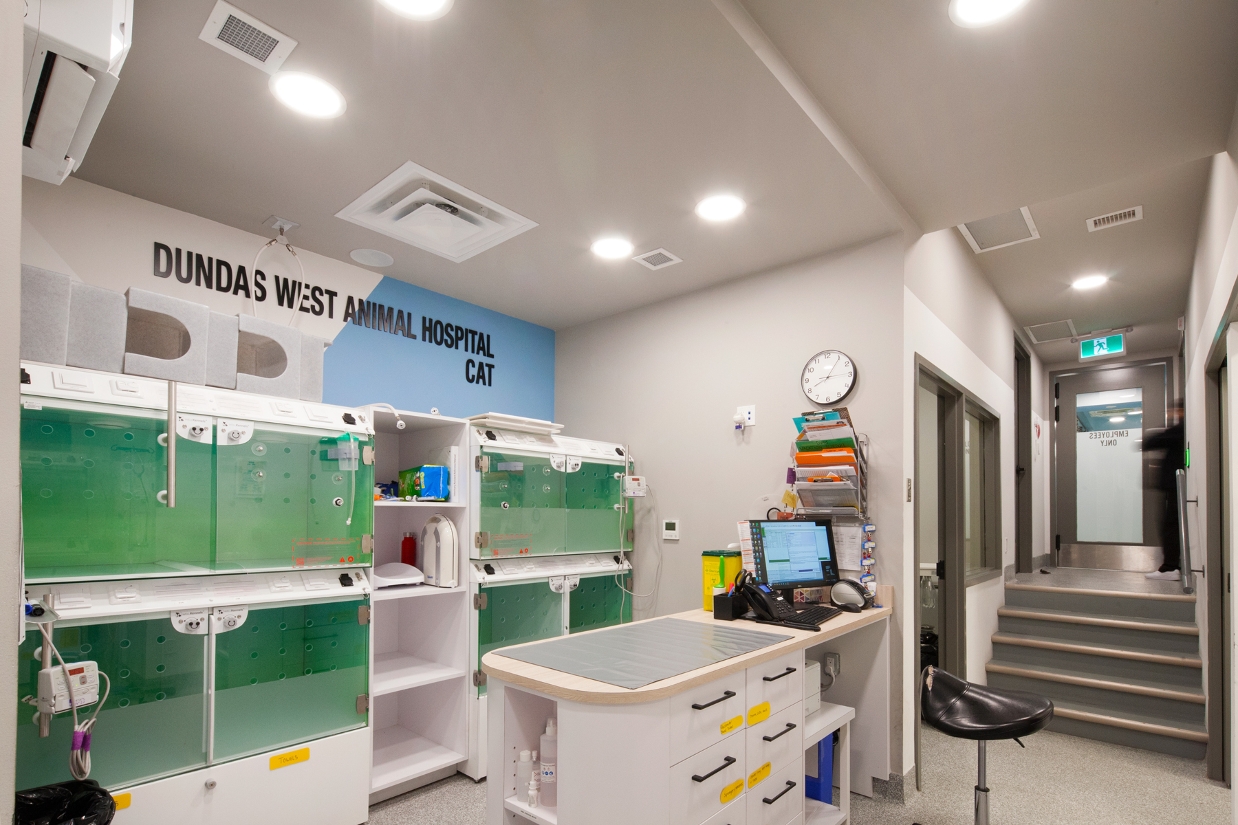 Dundas West Animal Hospital (Clinique féline)