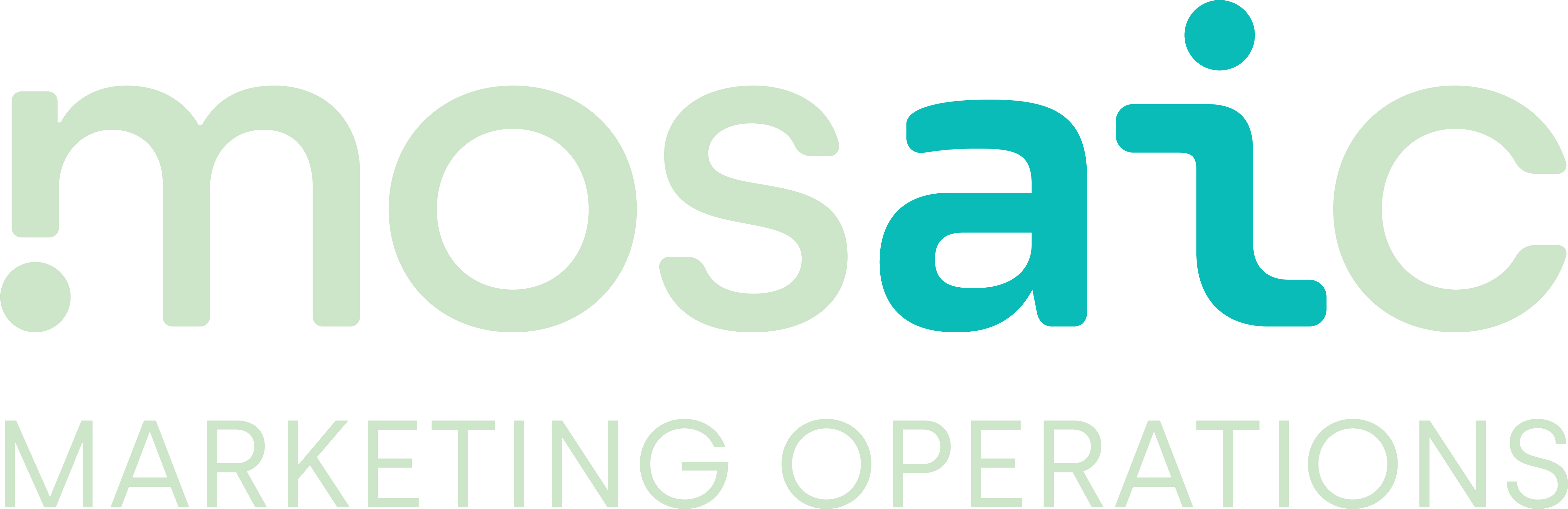Footer Logo