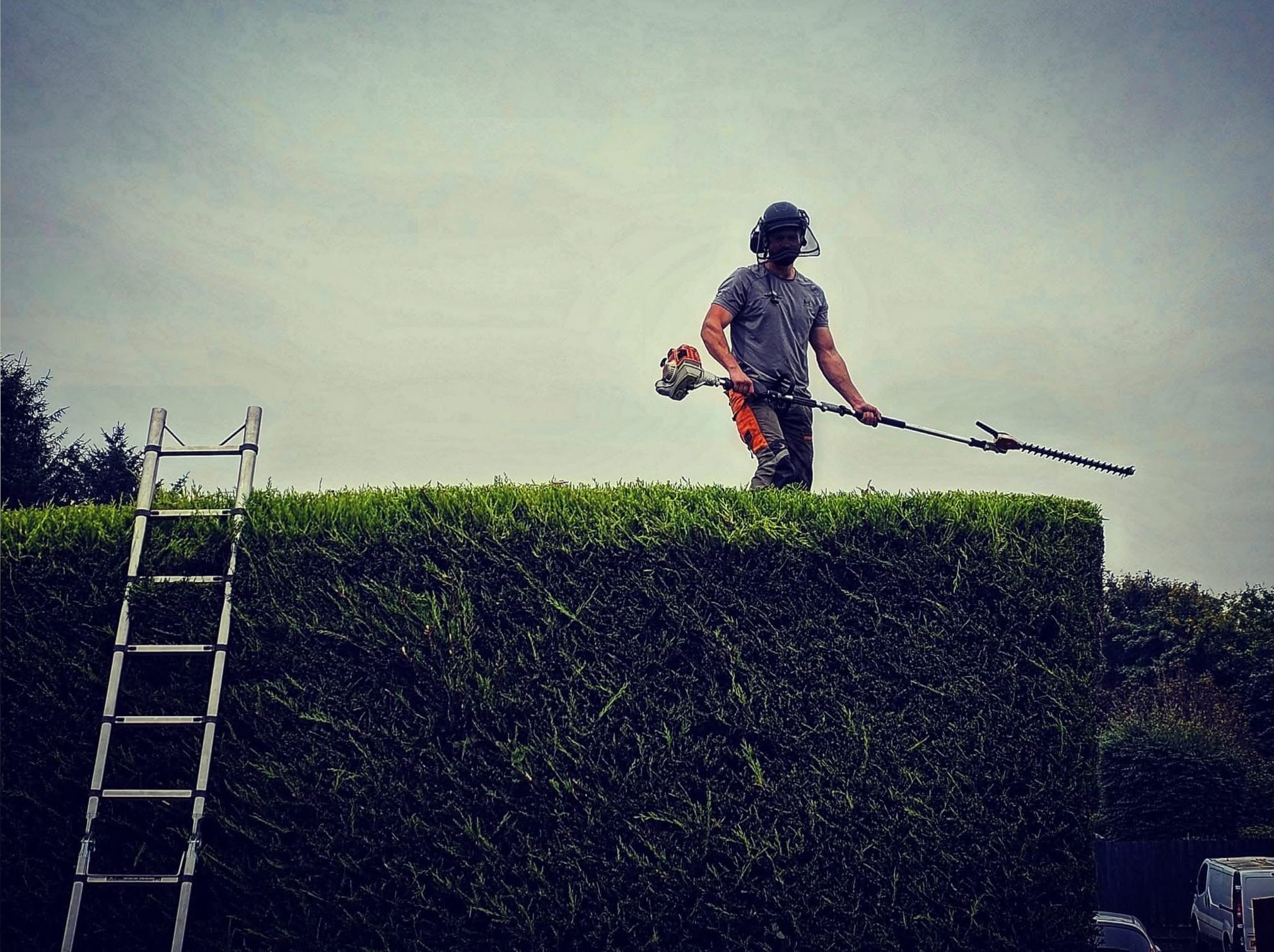 Dealing with High Hedges