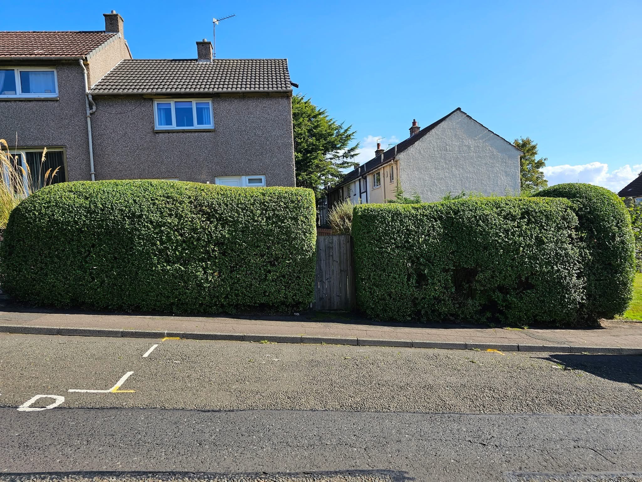 Dealing with High Hedges