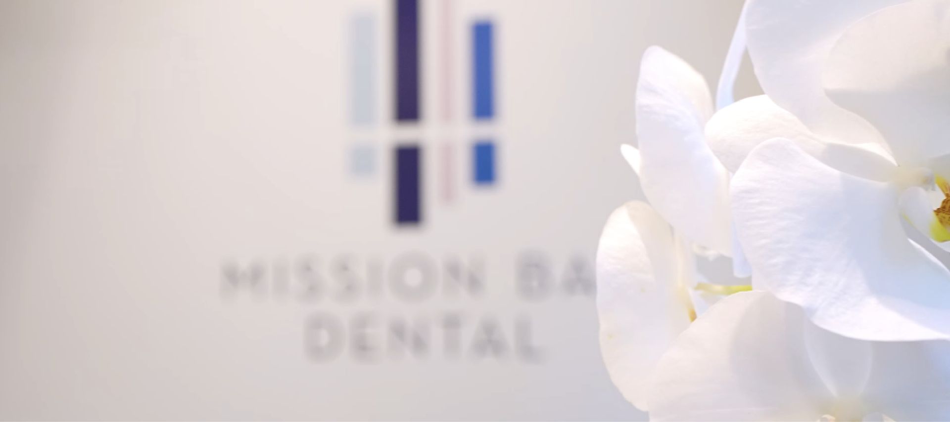 Close-up of white orchid petals with a blurred Mission Bay Dental logo in the background.