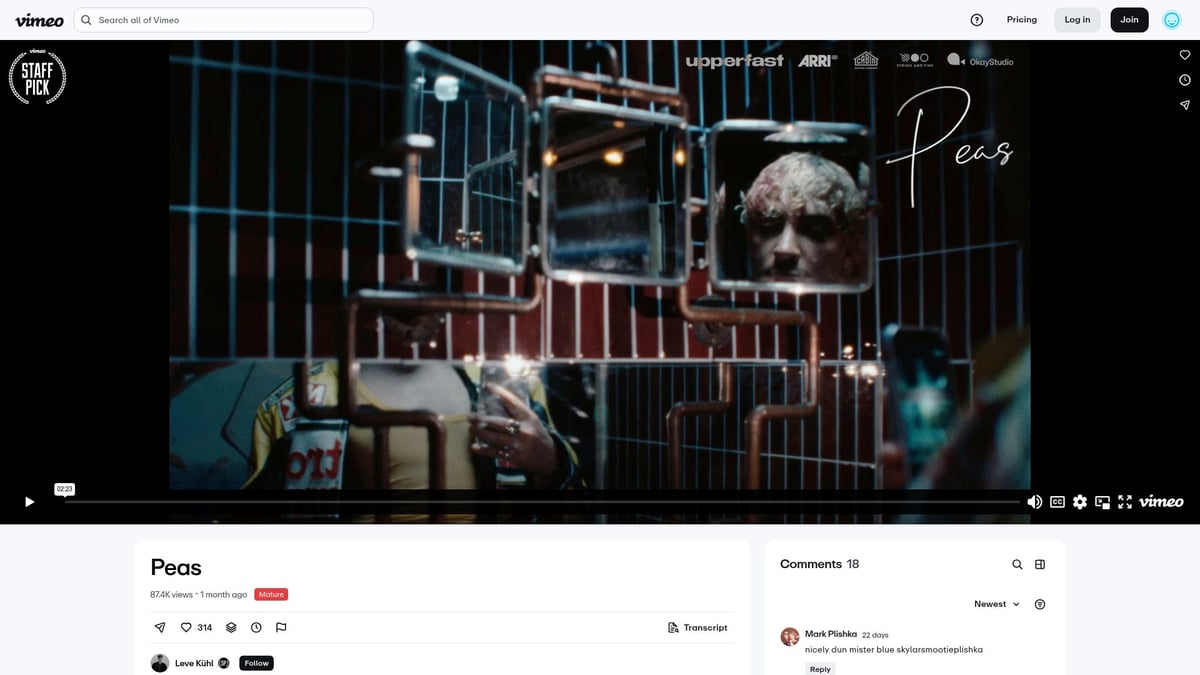 7 Inspiring Videos Commercial Examples to Boost Your Brand in 2026 - Peas - Christmas