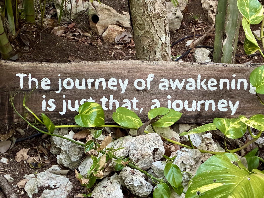 tulum healing sanctuary jungle sign