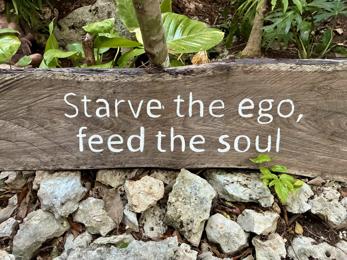tulum healing sanctuary jungle wood signage