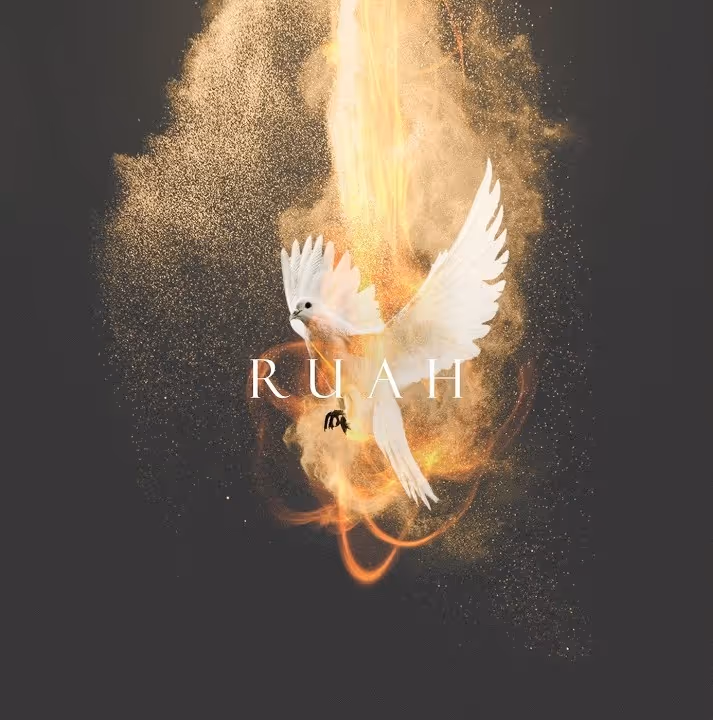 White dove with dust and fire. Cover of the Song  Élohé Élohim.