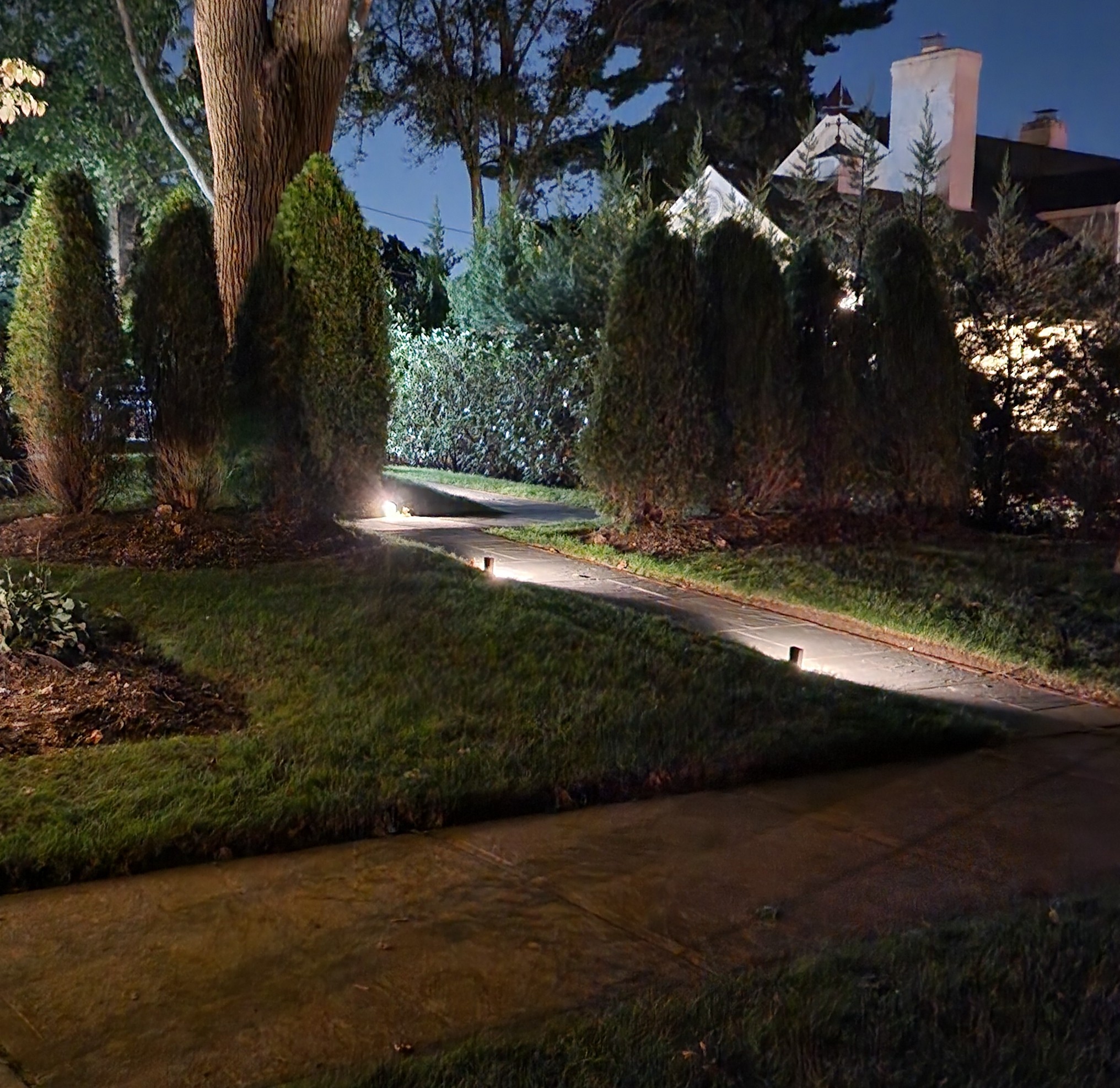 a few path lights lighting a residential backyard walkway