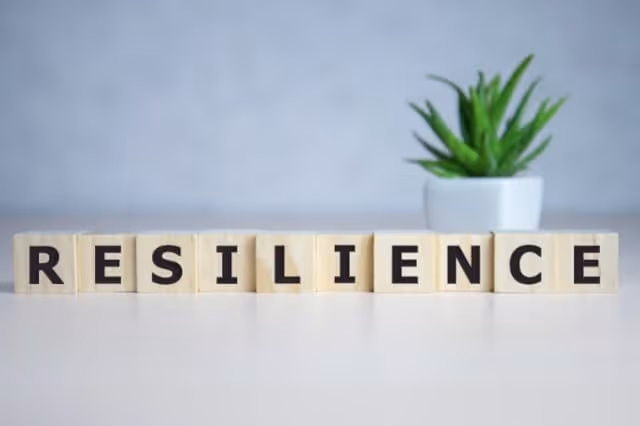 Schriftzug Resilienz mit Pflanze