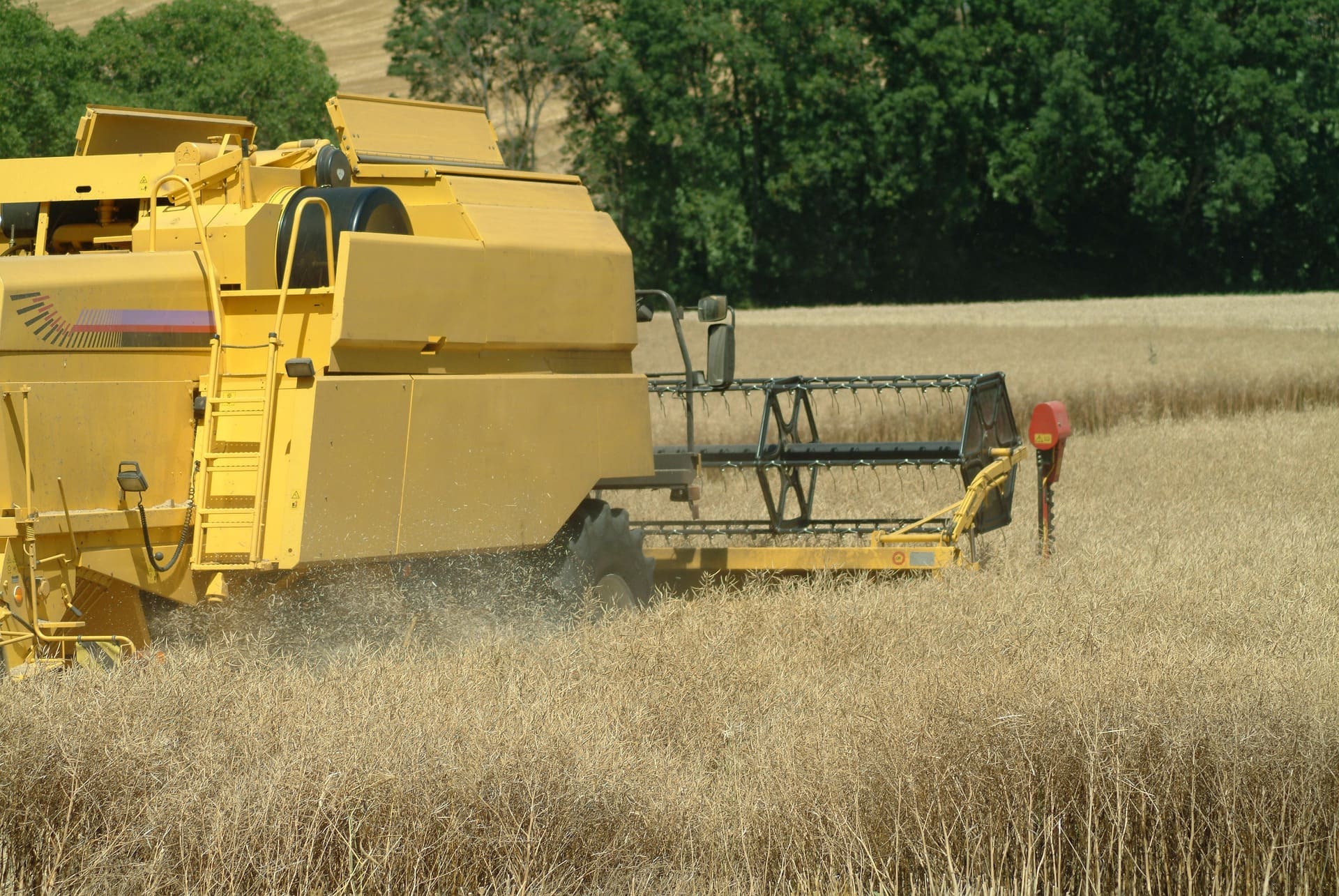 Logistique agricole : chargement de camions à la moisson devant un silo