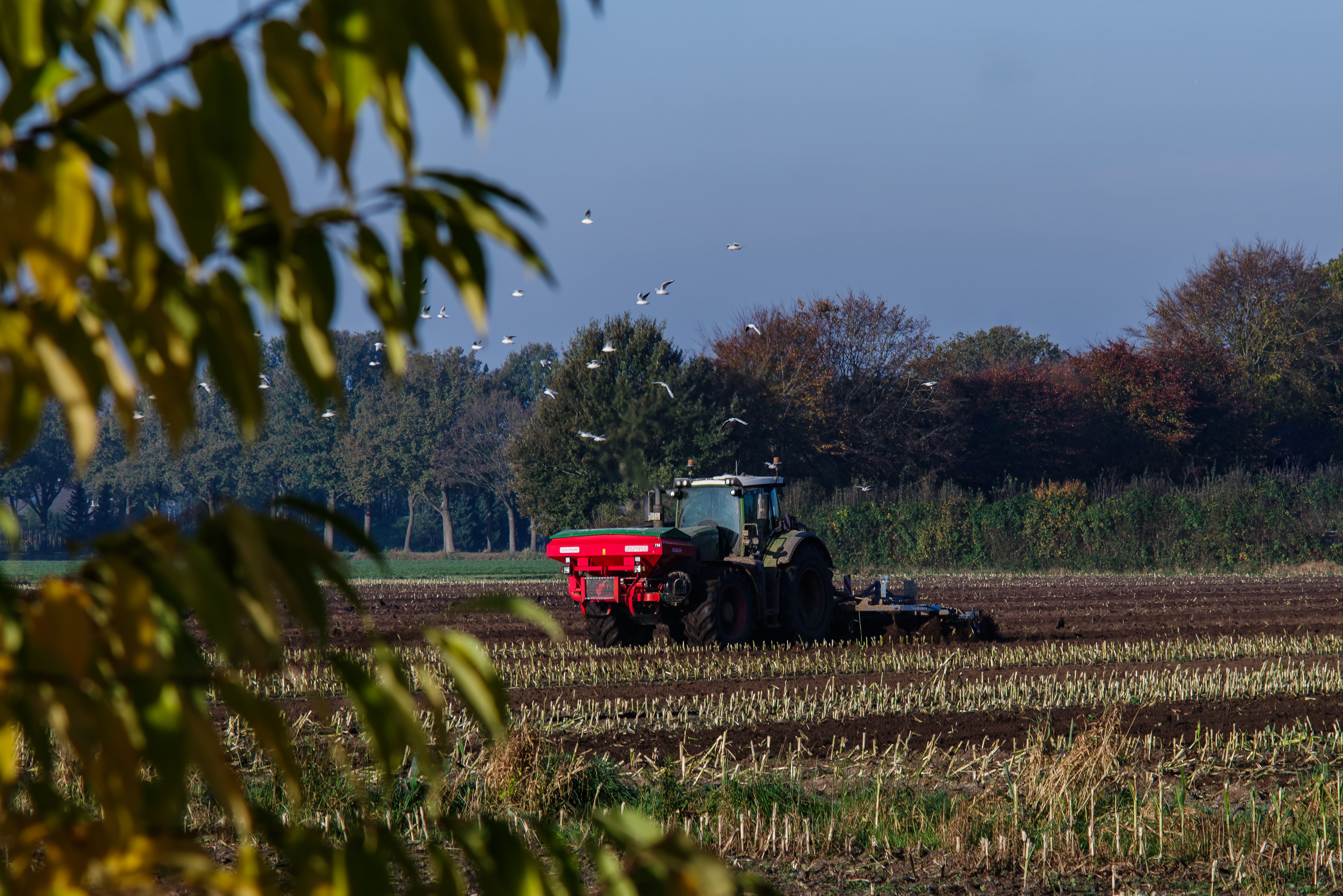 Agriculteur pratiquant le désherbage mécanique pour réduire les phytosanitaires. 