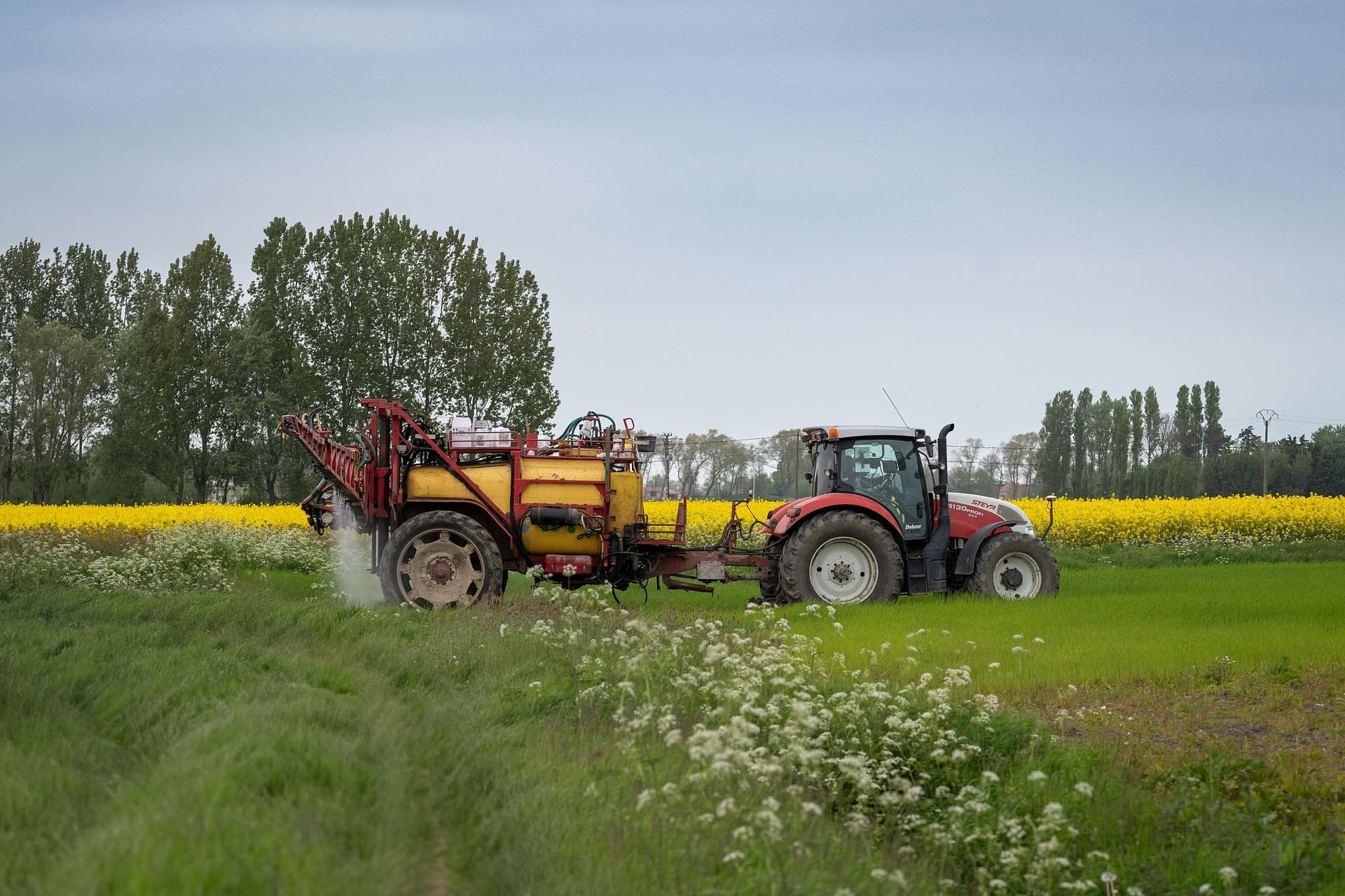 Visualisation des données phytosanitaires sur application mobile en plein champ