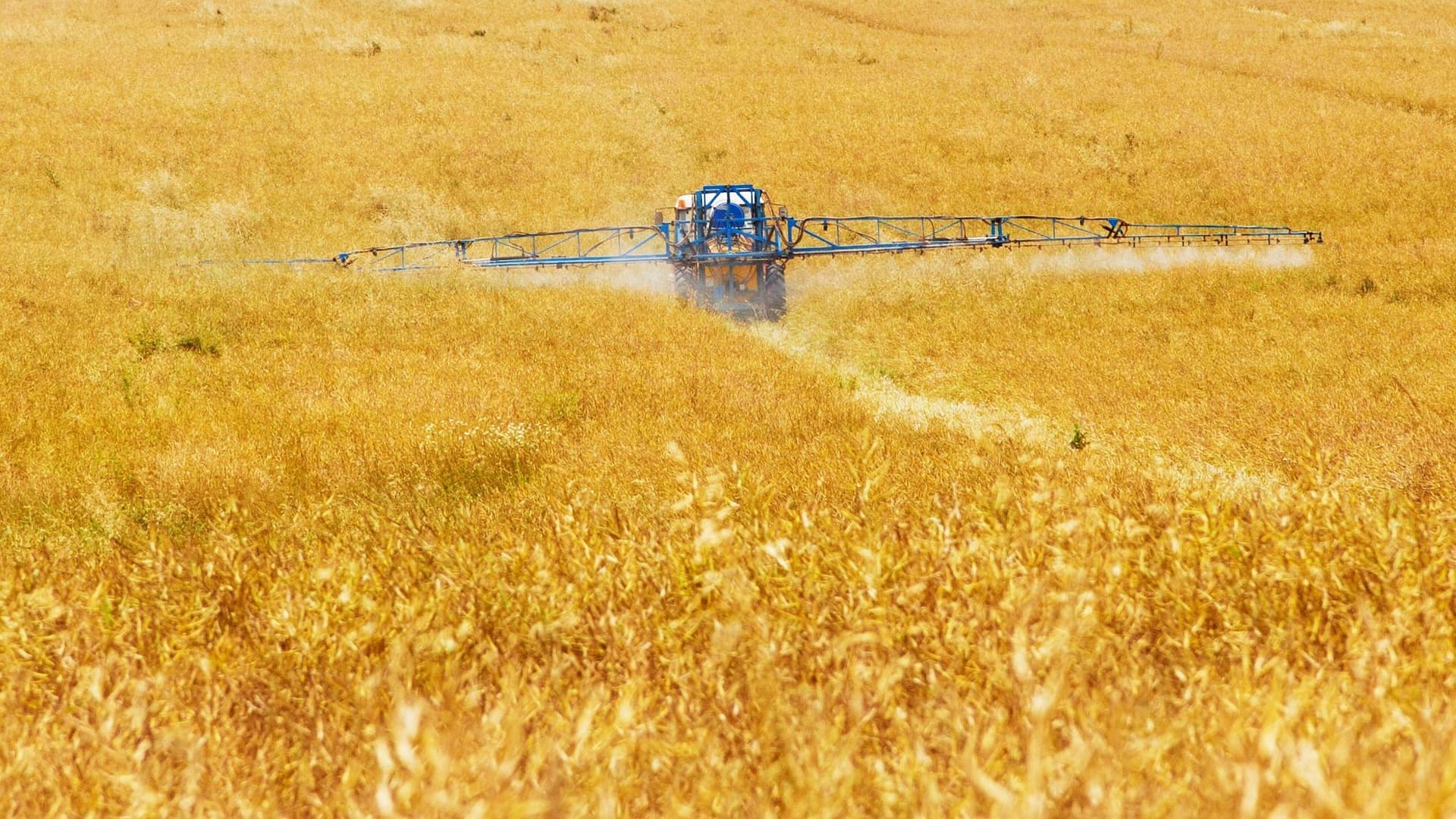 Exploitation agricole en agriculture raisonnée avec surveillance connectée