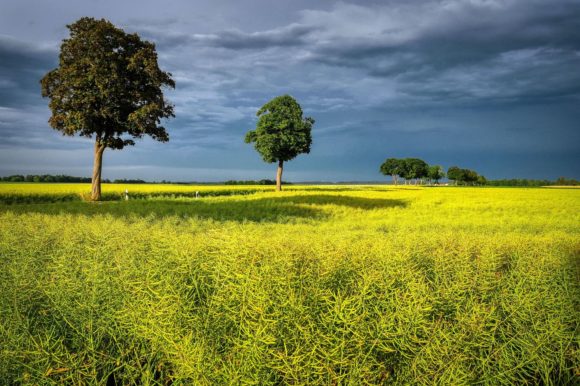 Répartition des charges agricoles incluant les phytosanitaires
