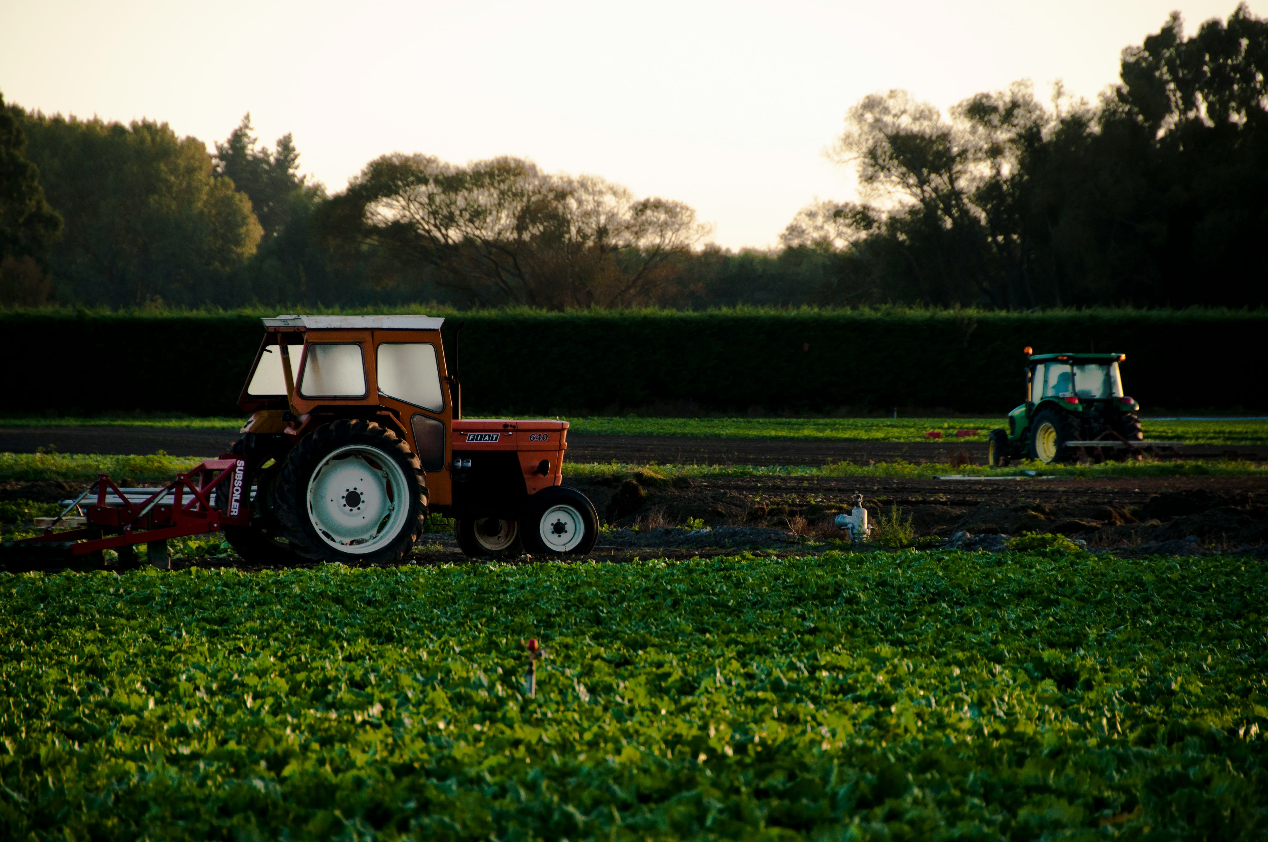 Apprenti agricole en formation pratique sur une exploitation avec un formateur.