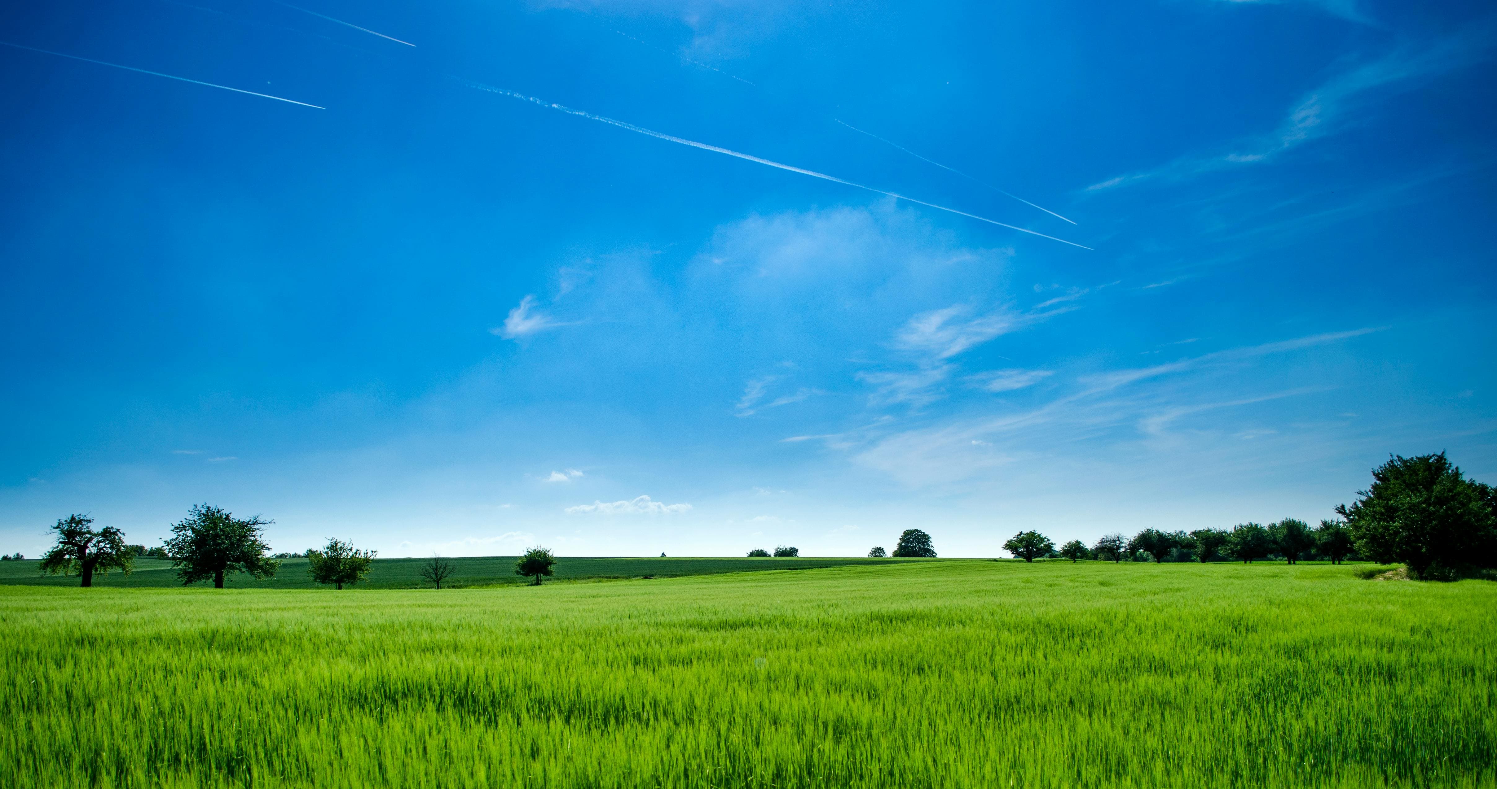 Agriculteur utilisant une application de gestion agricole sur son smartphone