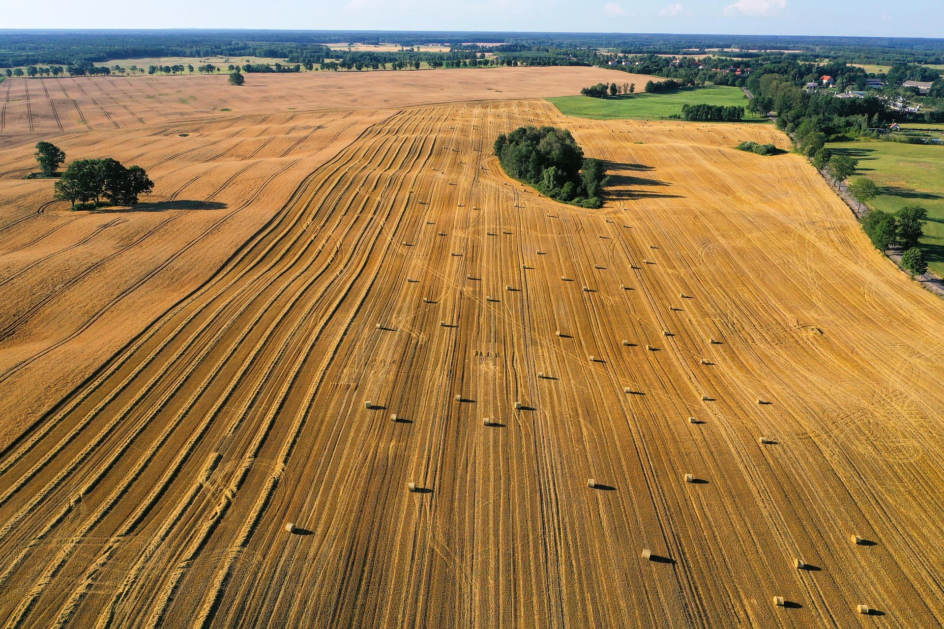Agriculteur analysant les coûts de production de son exploitation.