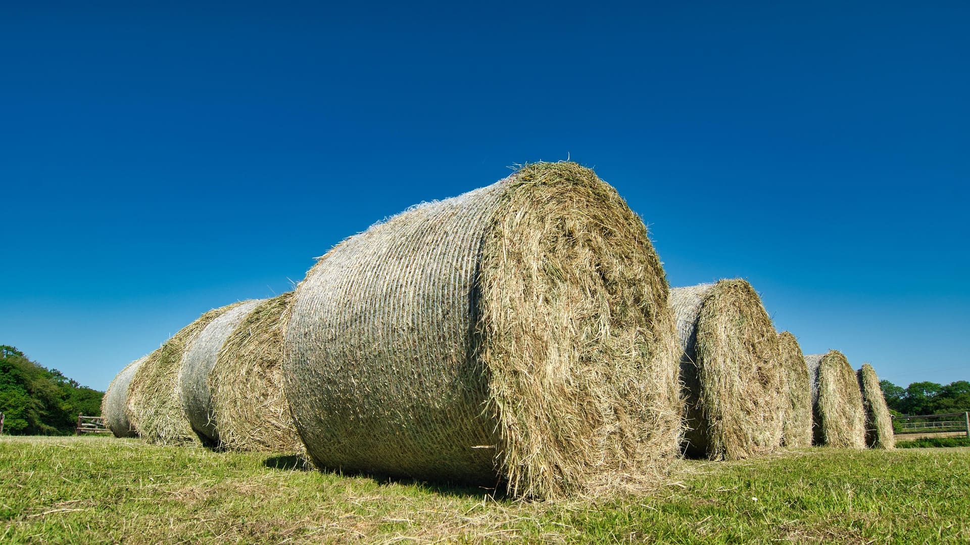 Exploitant agricole consultant un conseiller sur le choix d’un statut juridique.