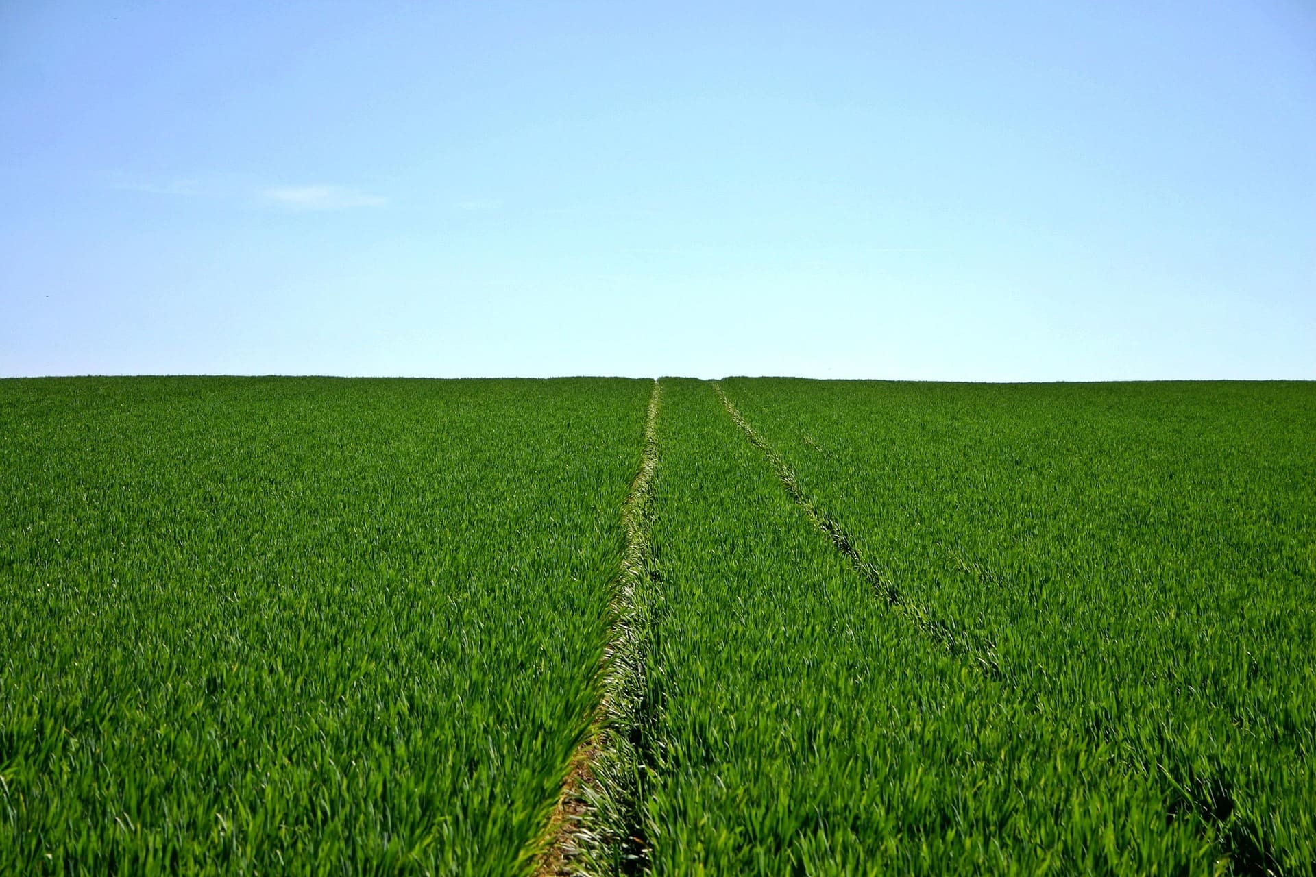 Agriculteur effectuant la traçabilité de produits agricoles.
