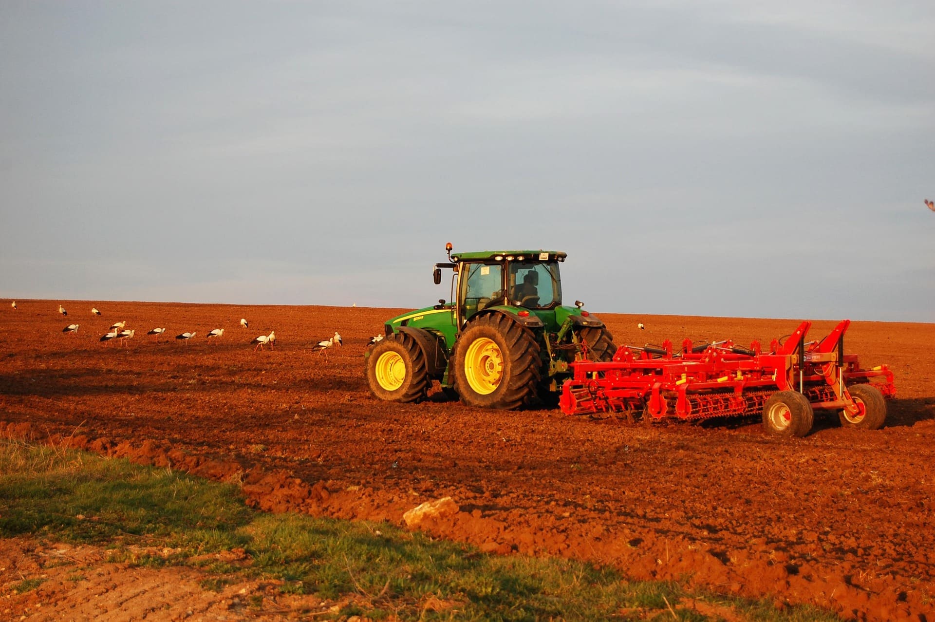 Champ agricole avec rotation des cultures et lutte biologique naturelle.