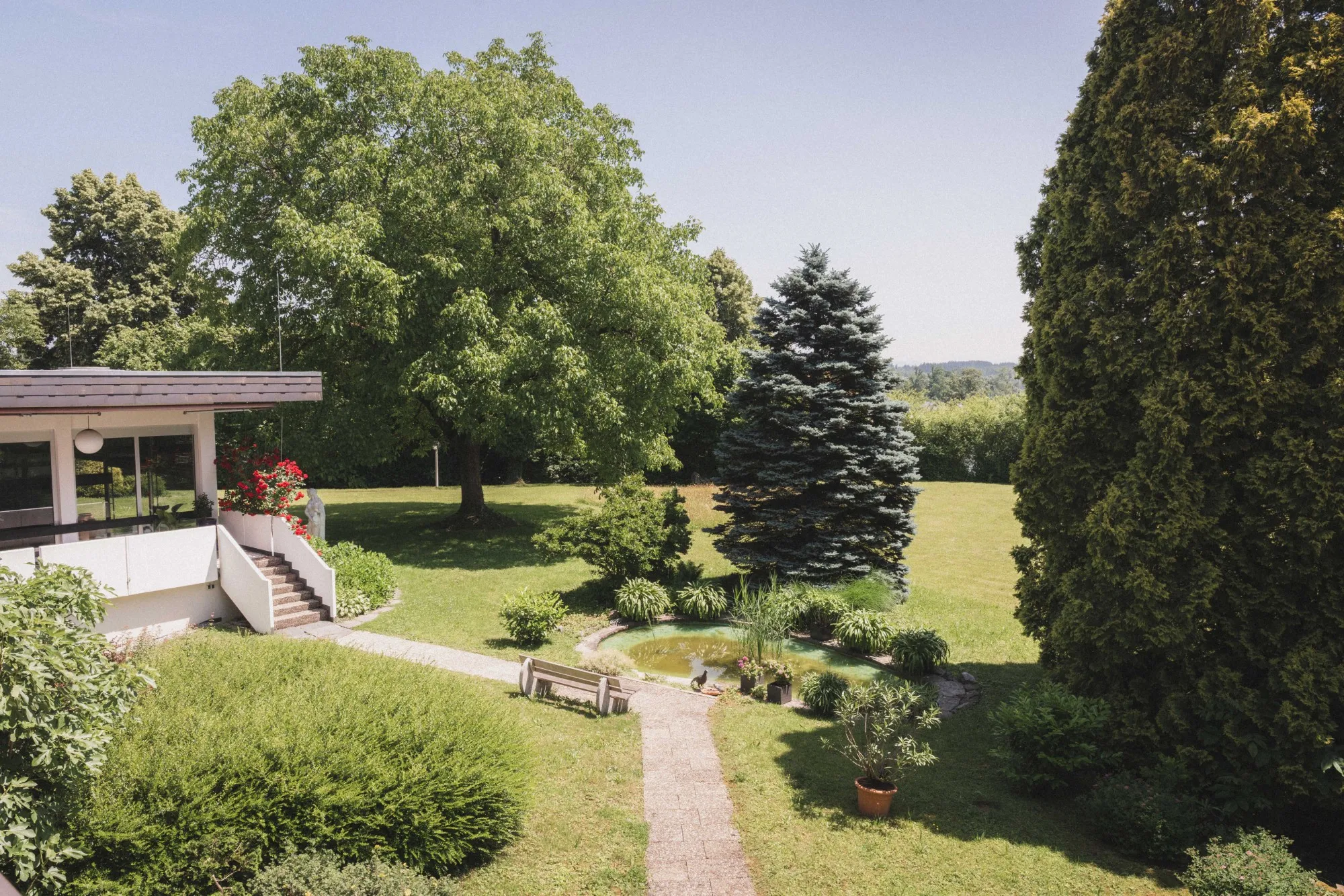 Garten mit einem kleinen Teich, verschiedenen Bäumen, einer Bank und einem modernen weißen Haus mit einer Treppe.