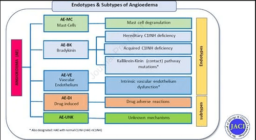 about us banner image