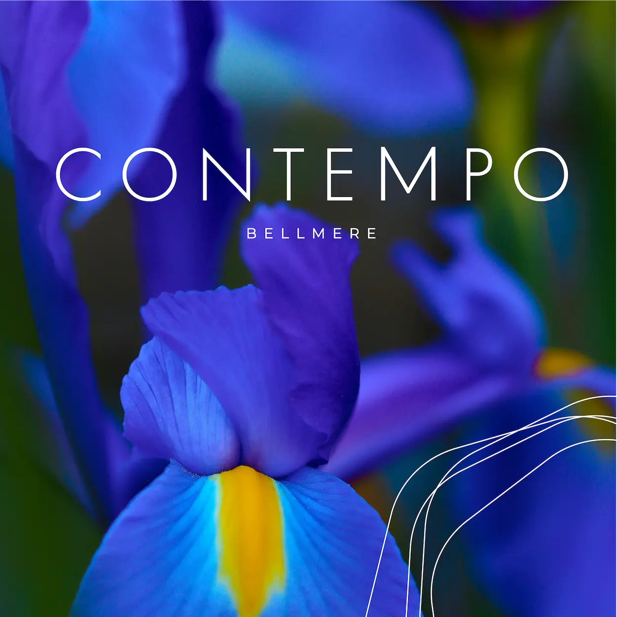 Contempo Bellmere