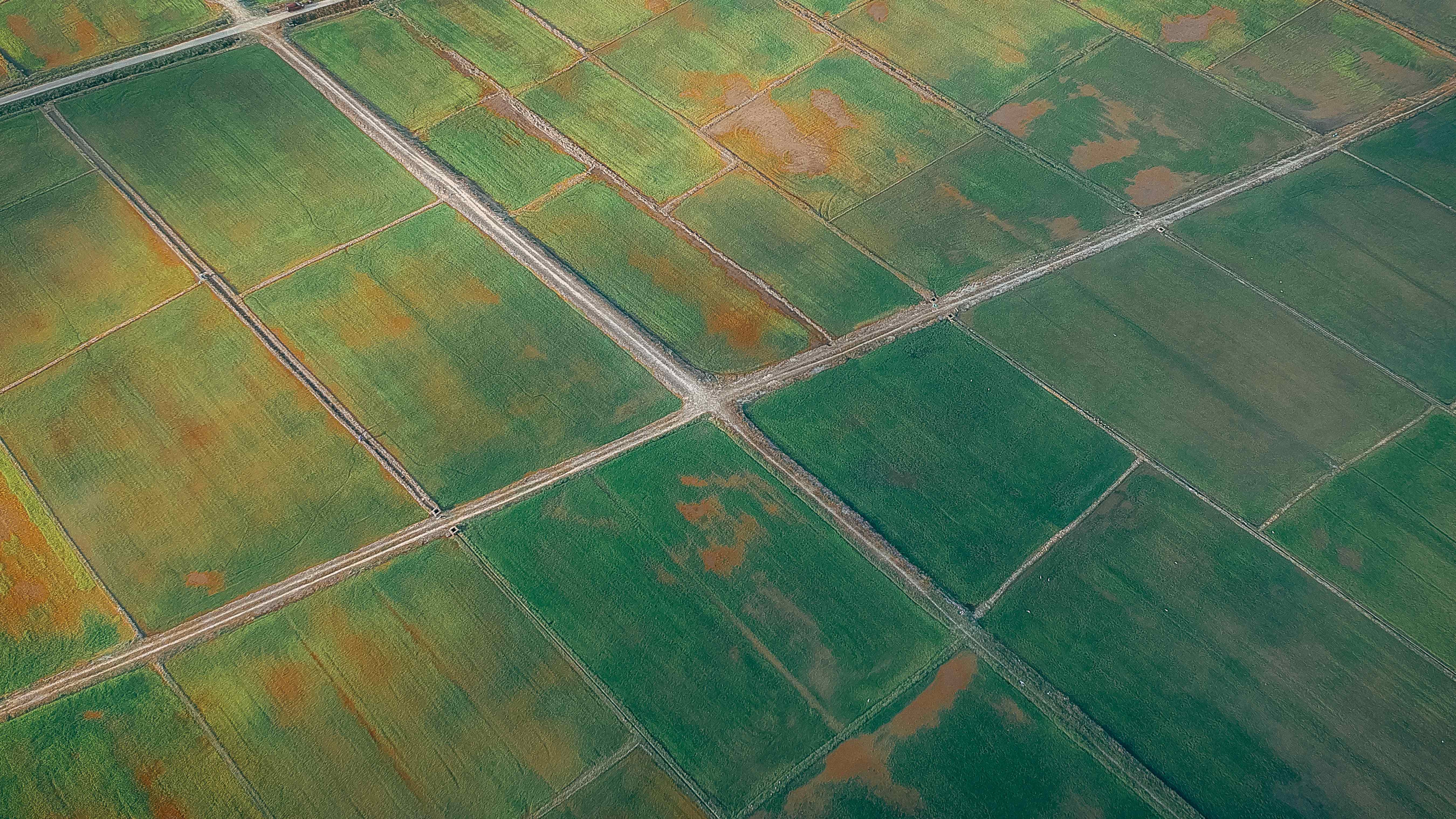 Agricultural fields from Fola Sustainability Website. 