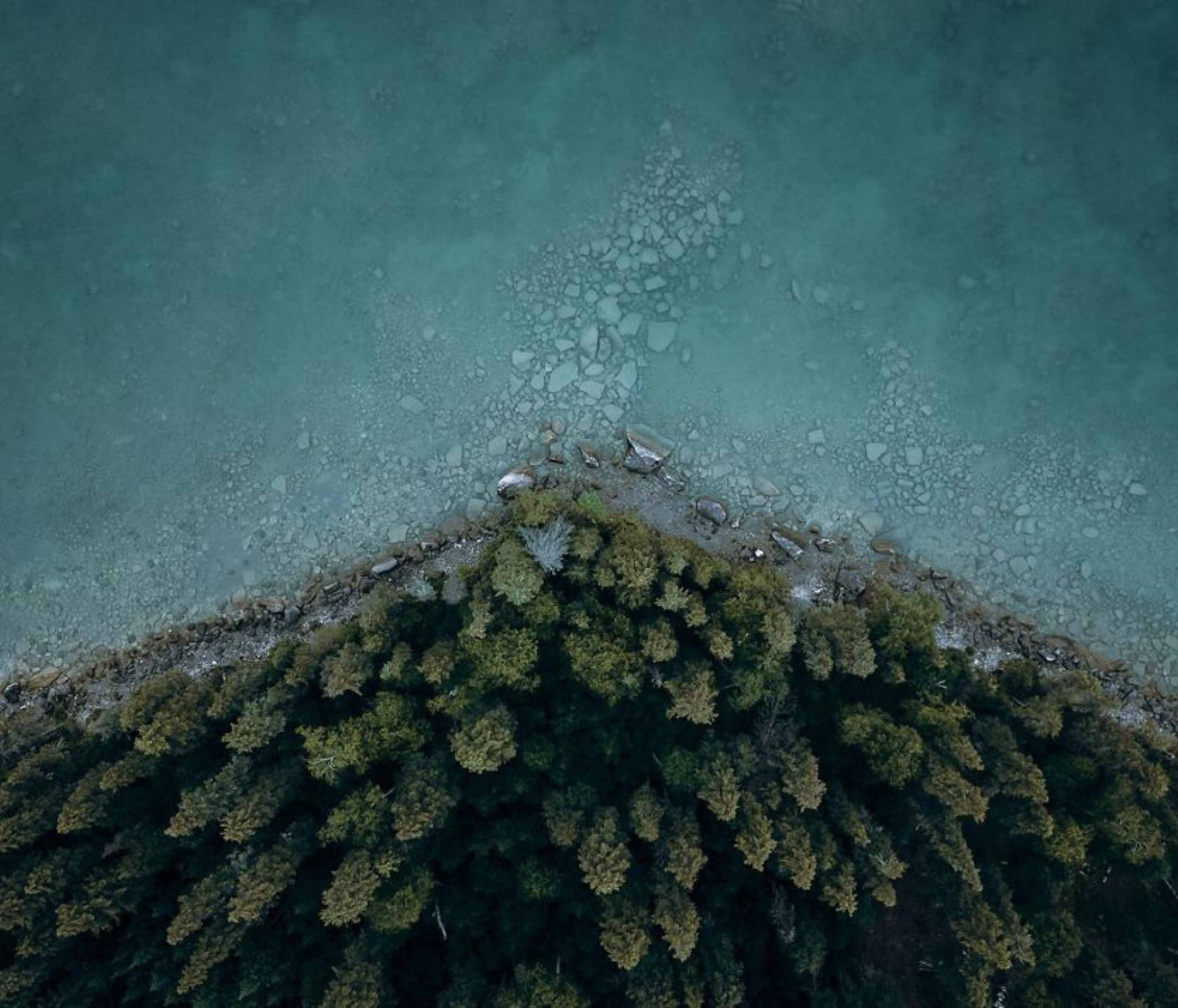 A photo from the air of some trees surrounded by the ocean from Fola Sustainability Website. 