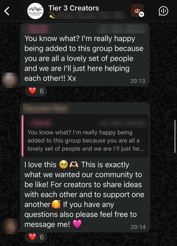 A creator in The Antidotes' WhatsApp community: really happy being added, a lovely set of people helping each other