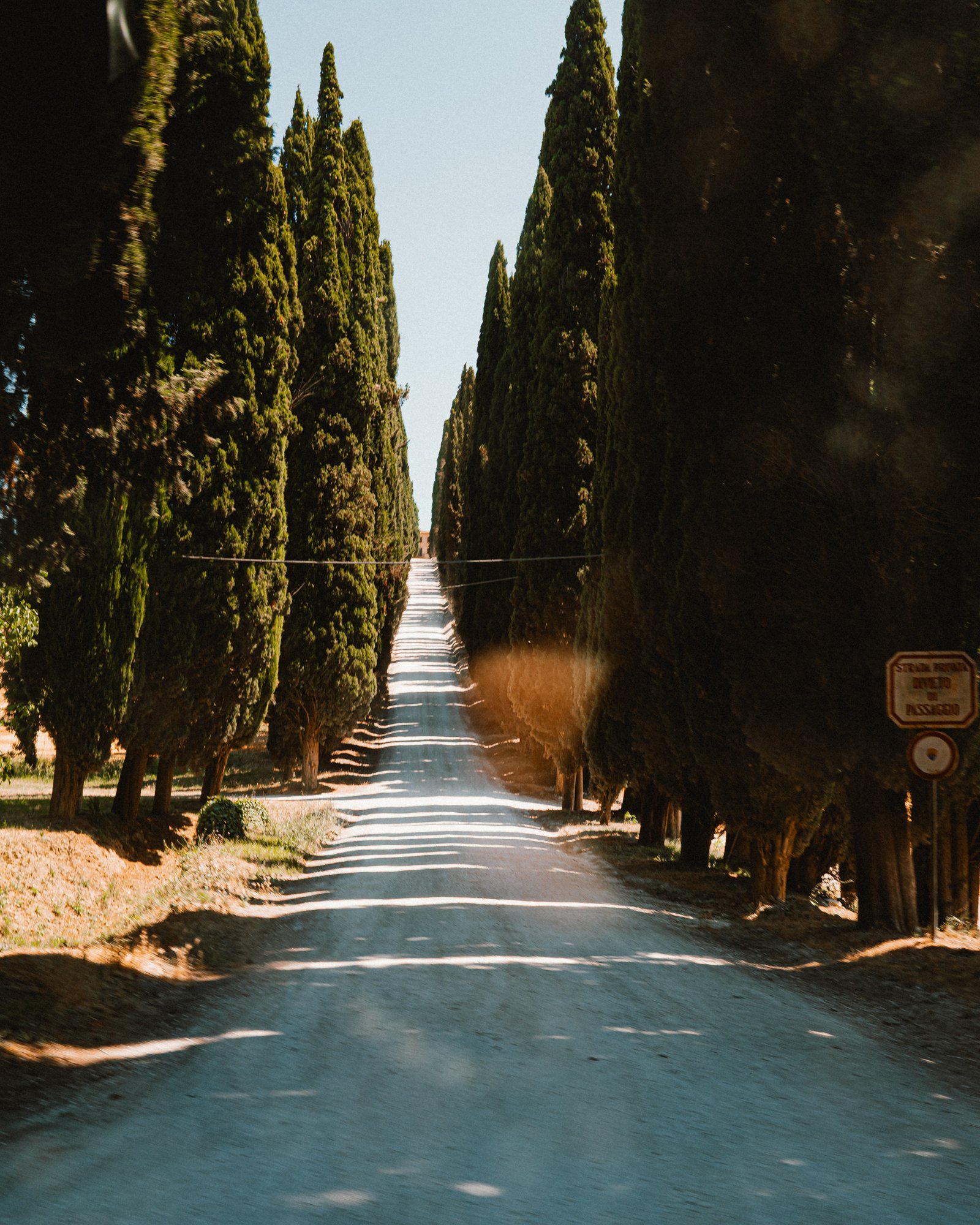 Cypress-lined road, Italy