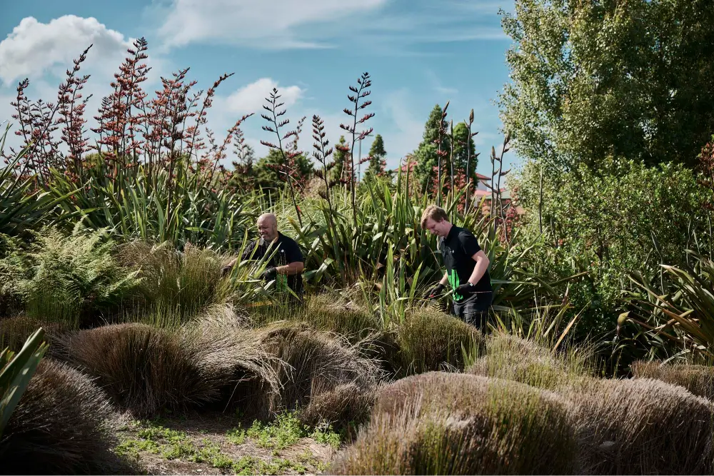 Two men in the garden