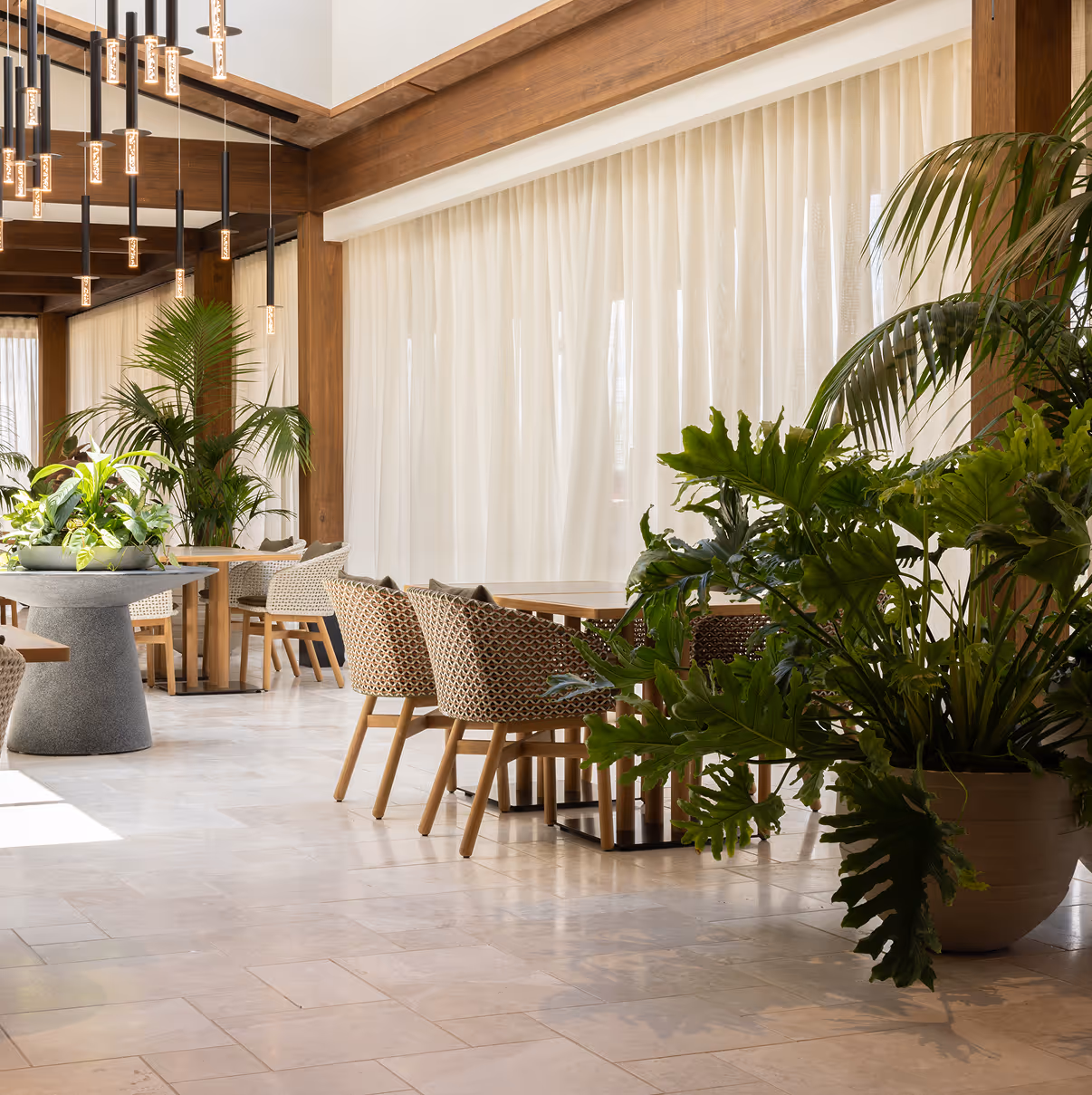 Modern dining area with wooden tables and patterned chairs, large potted plants, and pendant lights hanging from a wooden ceiling.