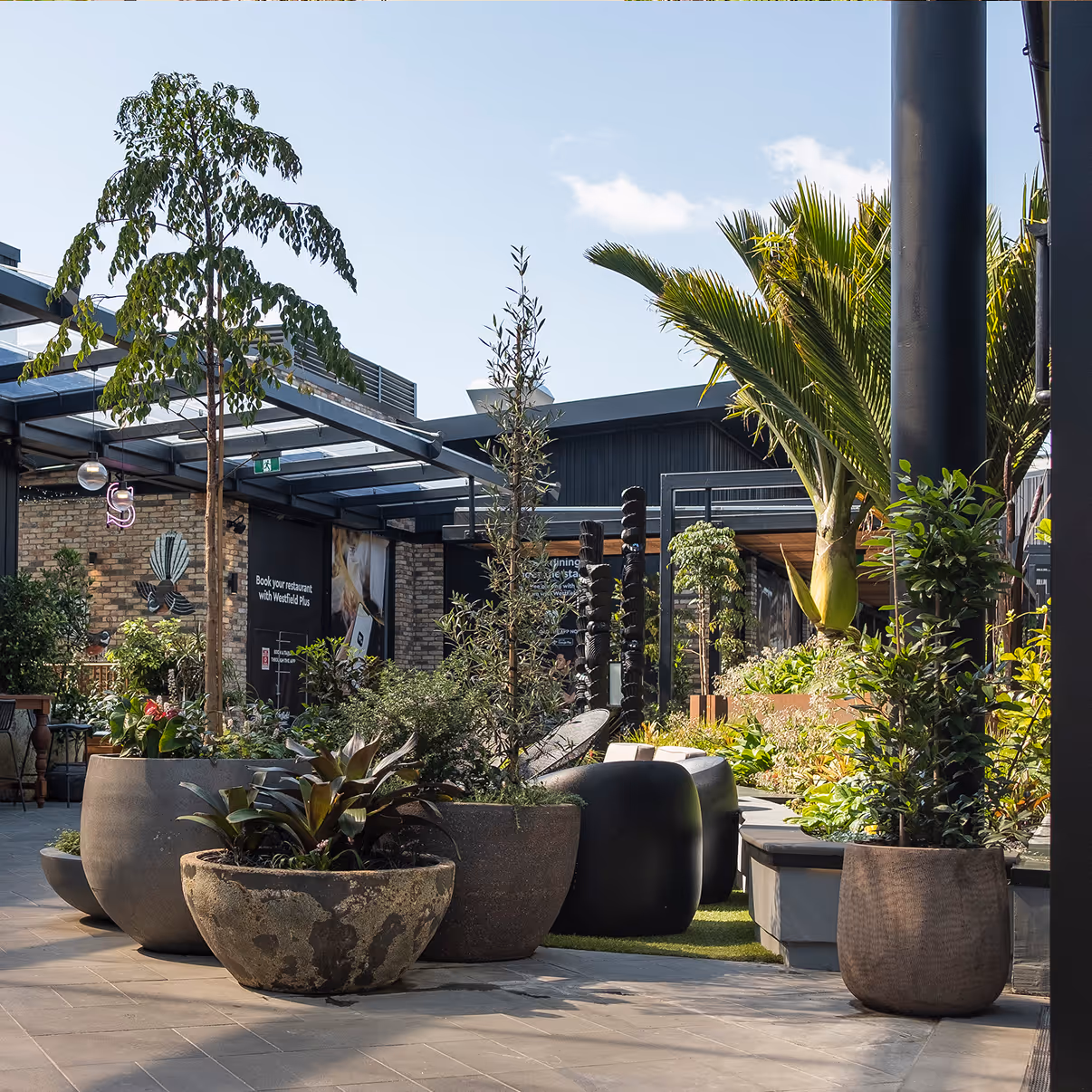 Outdoor seating area with large potted plants and trees near shops on a sunny day.