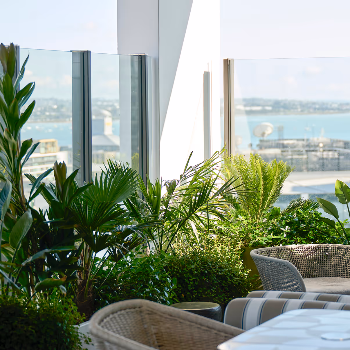 Balcony with various green plants and wicker chairs overlooking a cityscape and waterfront.