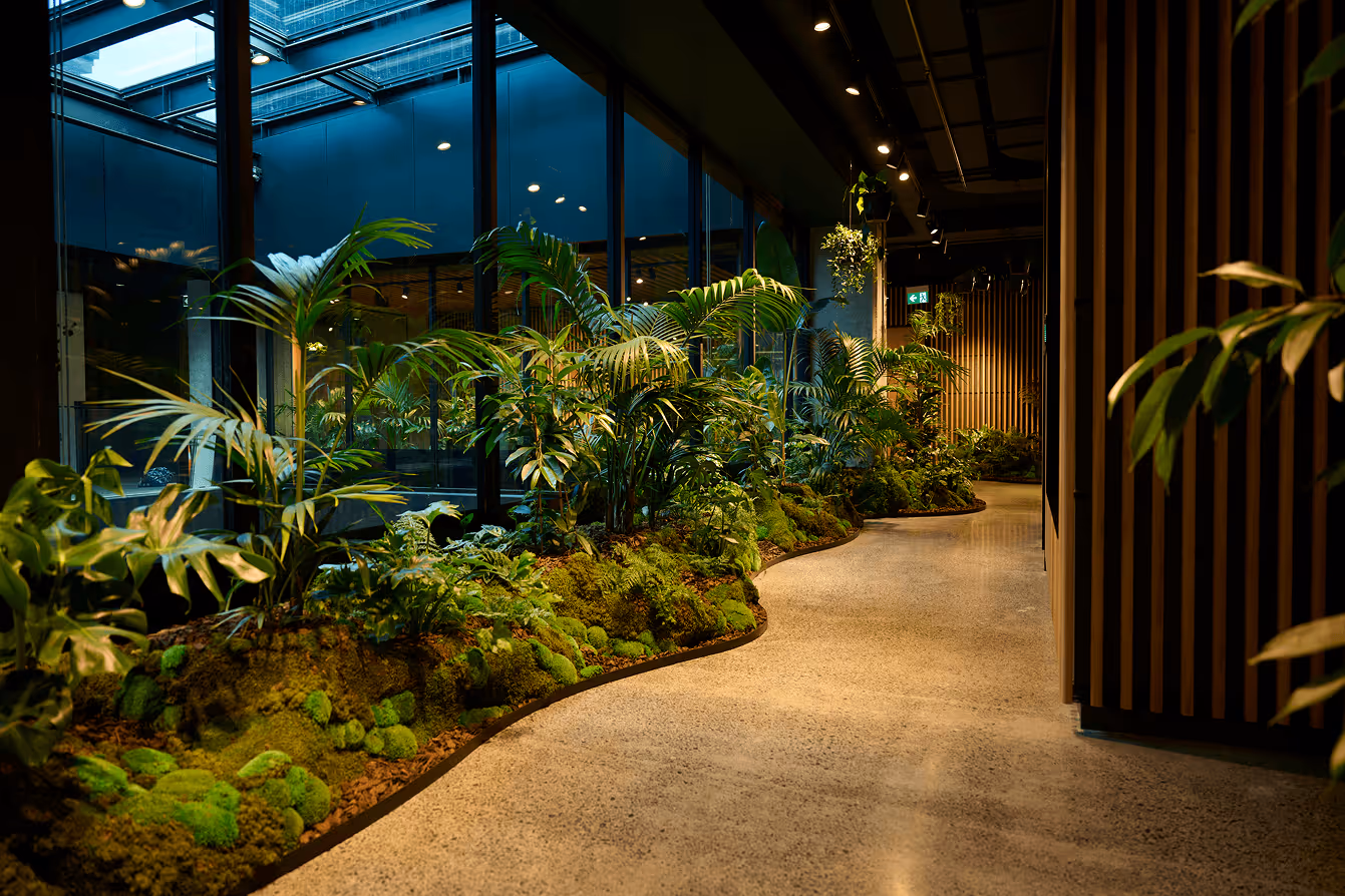 Curved indoor garden bed with tropical plants and moss groundcover lining a corridor in a commercial building interior