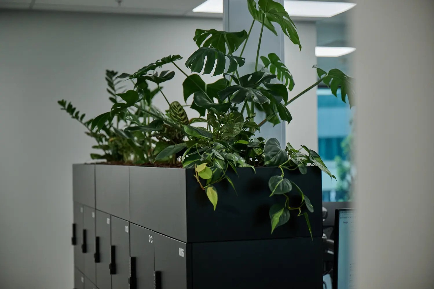 Indoor corridor featuring lush green plants in beige planters with built-in seating and wall lighting.