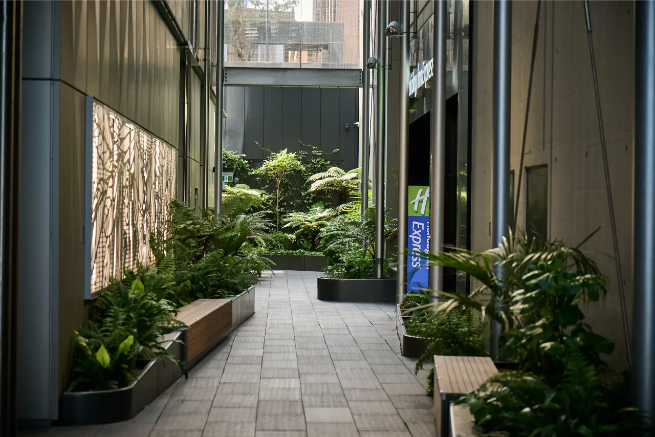 Planted laneway with ferns, trees and timber benches at 50 Albert Street, Auckland
